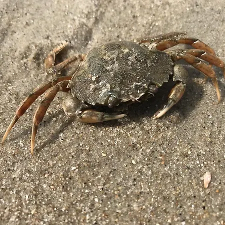 Hotel Leezdorfer Hof 3*