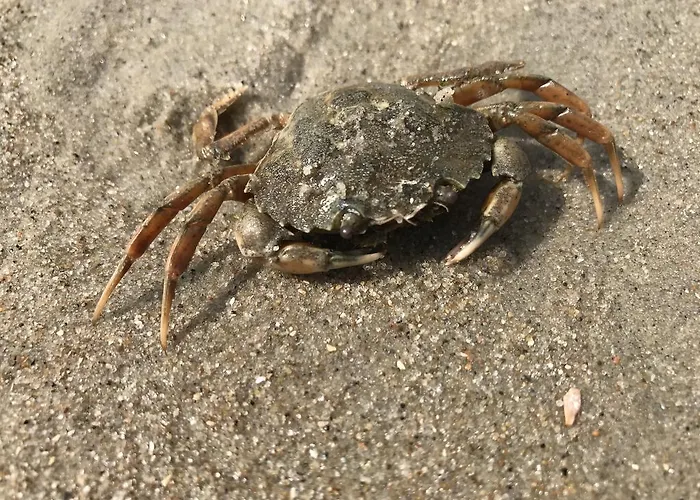 Hotel Leezdorfer Hof 3*